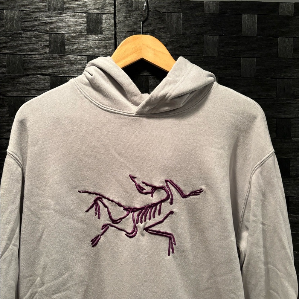 Arc'teryx x Palace Gray and Purple Graphic Hoodie